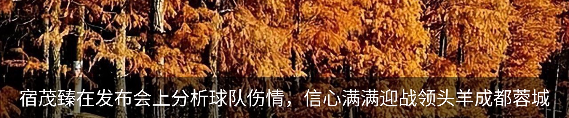 热点资讯